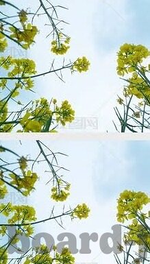 阿联酋对沙特足球比分-阿联酋VS沙特，一场绿茵场上的海湾德比，比分背后的故事与启示