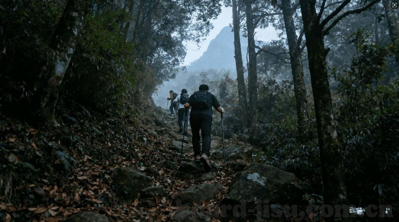 乐鱼体育网络异常-网络异常下的乐鱼体育，应对策略与用户体验升级
