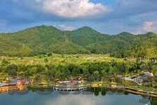 mk体育app莱斯特城-莱斯特城在MK体育APP中的崛起之路